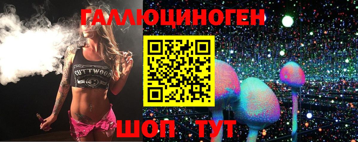 Среднеуральск  где продают   Вход с VPN  Псилоцибиновые грибы Magic Shrooms  Псилоцибиновые грибы Magic Shrooms 